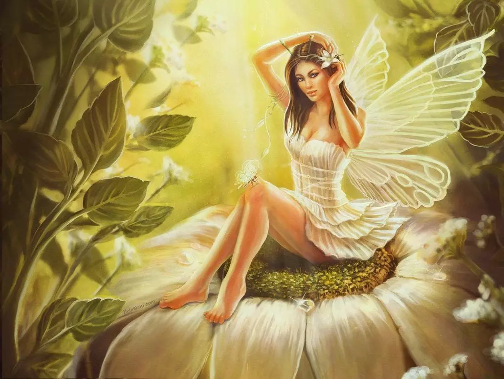 fairy wallpapers (32)